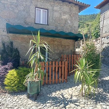 Quinta Dos Campos - Chale Villa Braga Dış mekan fotoğraf