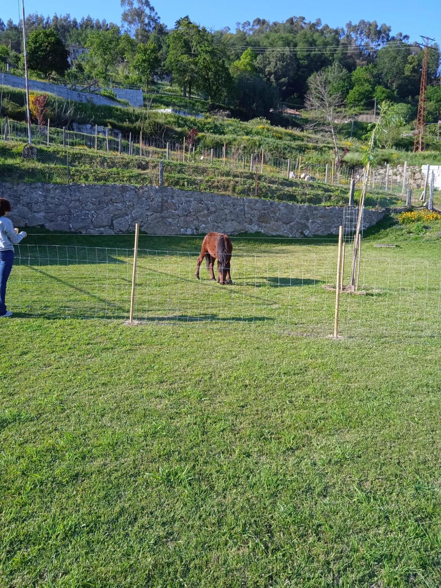 Quinta Dos Campos - Chale Villa Braga Dış mekan fotoğraf